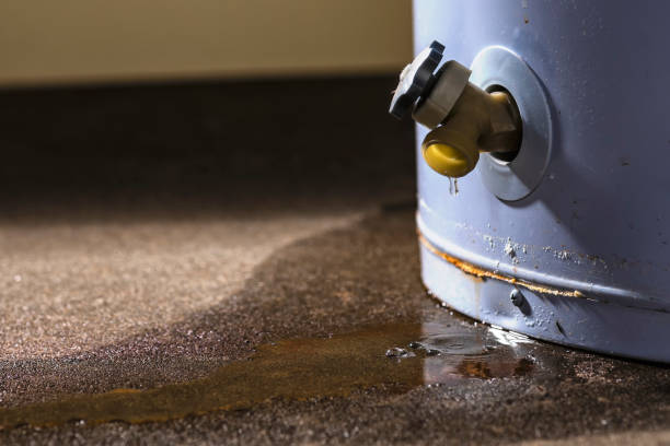 Best Ceiling water damage repair  in Pecatonica, IL