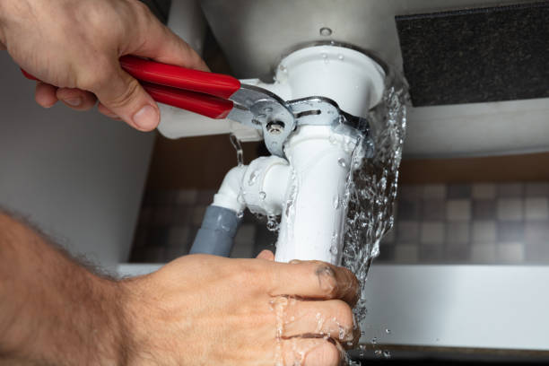Best Water damage restoration near me  in Pecatonica, IL