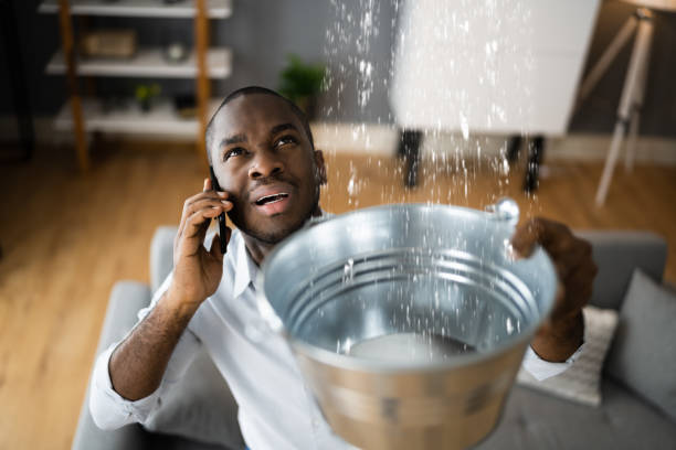 Best Carpet water damage restoration  in Pecatonica, IL