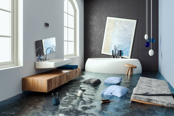 Best 24-hour water damage restoration  in Pecatonica, IL