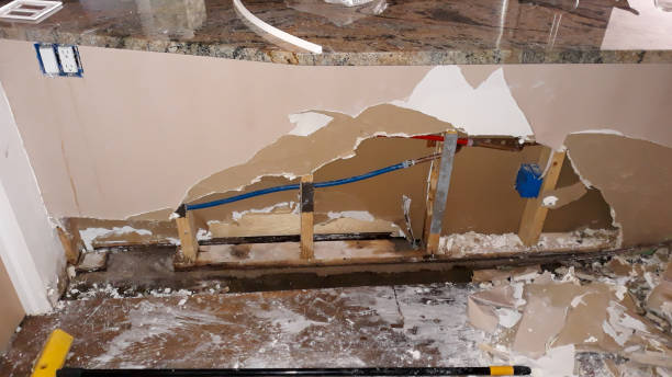 Best Water damage contractors near me  in Pecatonica, IL