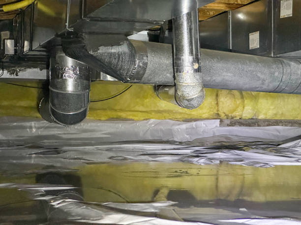 Best Mold removal after water damage  in Pecatonica, IL
