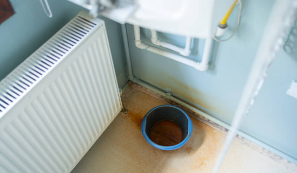 Best Residential water damage restoration  in Pecatonica, IL