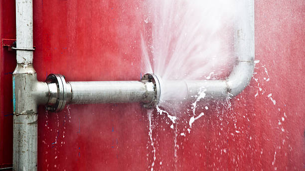 Best Professional water damage repair  in Pecatonica, IL
