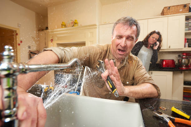 Best Flood damage cleanup  in Pecatonica, IL